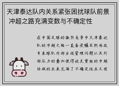 天津泰达队内关系紧张困扰球队前景 冲超之路充满变数与不确定性