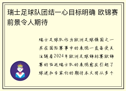 瑞士足球队团结一心目标明确 欧锦赛前景令人期待